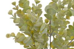Eukalyptus 5 větviček, 35 cm - barva - 623