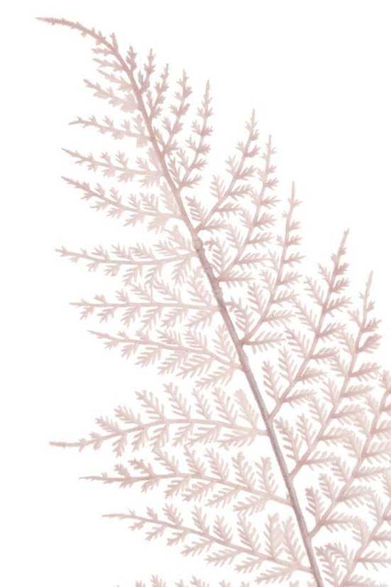 Umělý barvený list kapradí, dl. 57cm_14