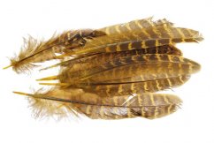Přírodní barvené peří dl.12-16cm - 10ks