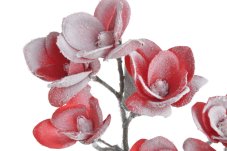Zasněžená magnolie červená 62 cm