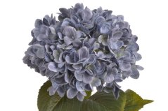 Umělá hortenzie s listy, hlava Ø 20cm, dl.80cm