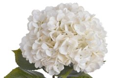 Umělá hortenzie s listy, hlava Ø 20cm, dl.80cm