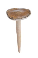Keramický hřib na zápich hnědý 21 cm