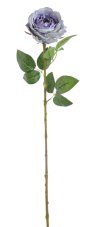 Umělá růže Austin, hlavička Ø 10cm/dl. 68cm - fialovo modrá