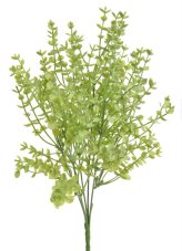 Eukalyptus drobnolistý, 6 větviček, barva 02