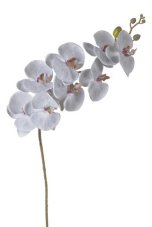 Lata umělých orchidejí, květ Ø10cm/dl.90cm