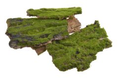 Přírodní  kůra s umělým mechem, úlomky 9 - 17 cm