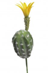 Umělý kvetoucí kaktus H18cm