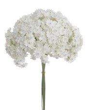 Svazek kvetoucí gypsophila 10ks, dl. 34cm