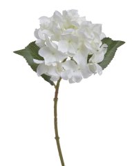 Květ hortenzie na stonku s listy - květ Ø 14 cm, dl. 37 cm