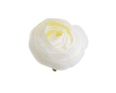 Umělý rananculus hlava Ø 6cm - 12ks