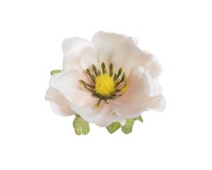 Hlavička umělé anemone - sasanky, hlavička Ø 6cm - 12ks