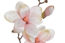 Větvička umělé magnolie s listy, 2 květy + 1 poupě, dl. 48cm