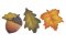 podzimní dekorace listy na magnetu 5 - 6cm - 3ks