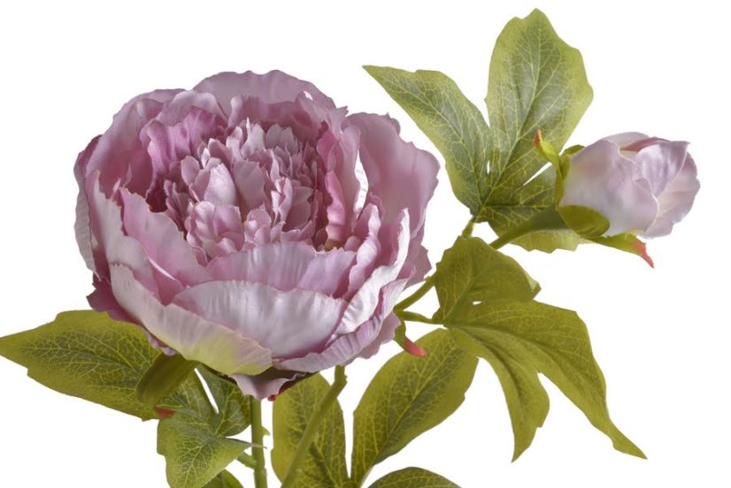 Umělá pivoňka s květem a poupětem, květ Ø10cm, celková dl.67cm