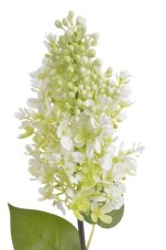 Umělý šeřík krémově bílý 61 cm