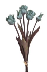 Tulipán papouščí svazek x5, 45cm