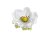 Hlavička umělé anemone - sasanky, hlavička Ø 6cm - 12ks