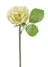 Pěnová růže na stonku s listem dl.25cm