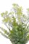 Umělá rostlina  keřík kvetoucí zeleně 7 výhonů dl. 38cm - zápich