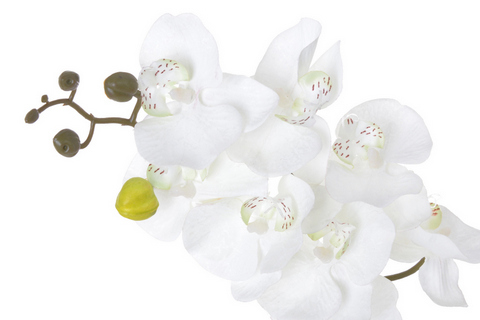 Lata umělé orchideje s osmi květy, květ Ø7cm/dl.75cm