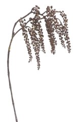 Umělá větvička s plody z měkčeného plastu dl. 84cm