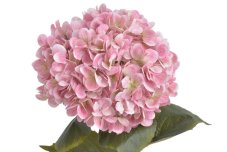 Umělá hortenzie s listy, hlava Ø 20cm, dl.80cm