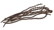 Přírodní materiál banana stem 51,5-68cmL x 1-2,5cmW - 10ks