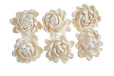 Dekorační květy z Shola ninza flower Ø 6 cm - 6ks