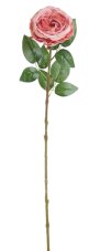 Umělá růže Austin, hlavička Ø 10cm/dl. 68cm - růžová