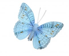 Dekorační péřový motýlek na klipu 8cm - 12ks
