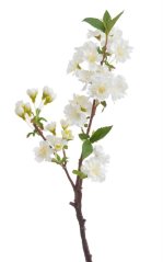 Umělá kvetoucí větvička višně dl. 50cm