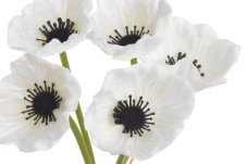 Svazek květů anemone na stonku dl. 29cm - 5 ks