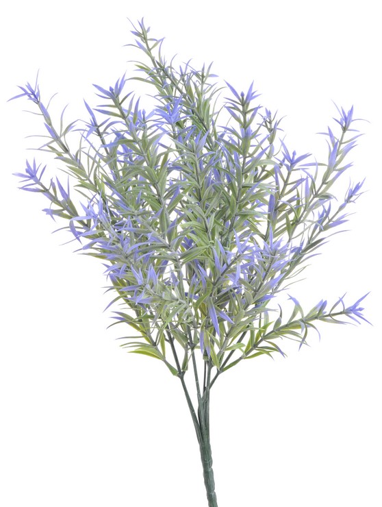 Asparágus, 37 cm, 8 větviček