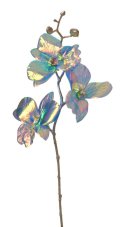 Opalizující lata orchideje dl. 47cm