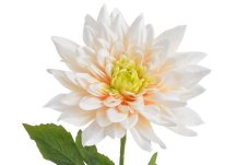Umělá květina kvetoucí dahlie, květ Ø 25cm, dl.98cm
