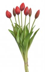 Svazek plastových tulipánů 5ks dl. 43cm