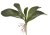 Umělé orchidejové listy s kořínky dl. 27 cm