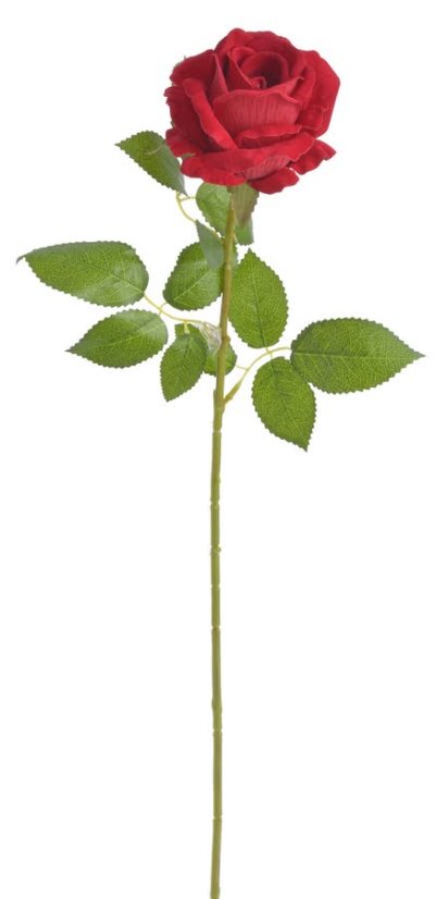 Umělá rozkvetlá velvetová růže, hlavička Ø 9cm/celkem dl. 50 cm