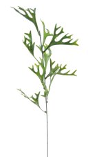Parožnatka větvička 60cm