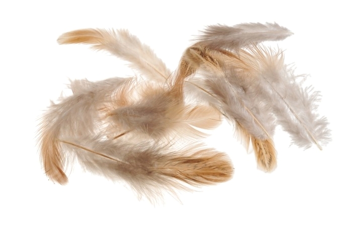 Přírodní peří 5 - 7 cm, 10g