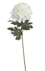 Chryzantéma na stonku s listy, 73 cm