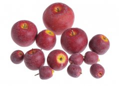 Plastová jablíčka různých velikostí Ø 2-5 cm - 13ks