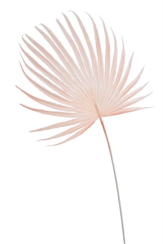 Umělý barvený list palmy vel. 57cm