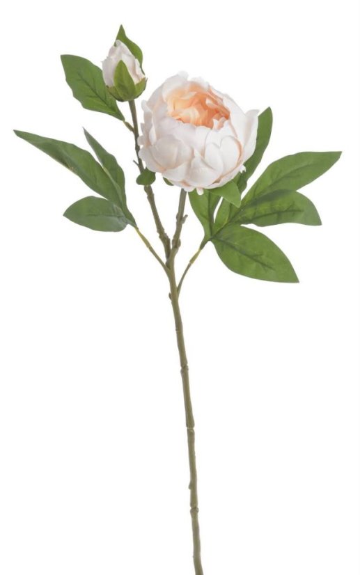 Umělá kvetpoucí pivoňka RT květ 10cm, dl. 60cm