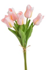 Tulipán papouščí 5 ks ve svazku s listy, 32 cm, barva 18