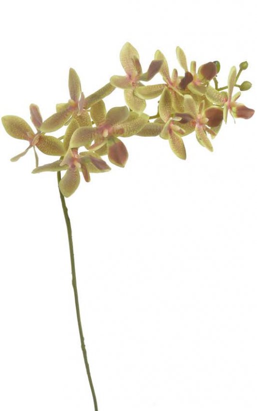 Lata umělé orchideje s deseti květy, květ Ø7cm/dl.60cm_02