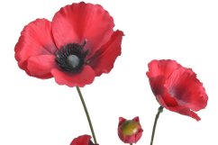Umělý vlčí mák 3 květy Ø 9cm + poupě, dl. 75cm