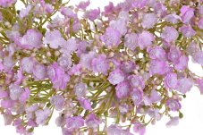 Plastový věnec z kvetoucích větviček Gypsophily Ø 33 cm