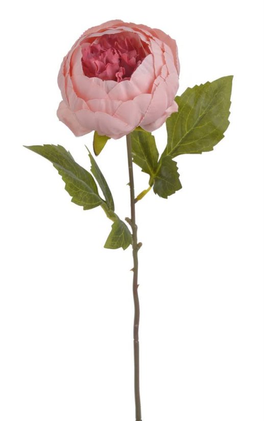 Umělá rozkvetlá pivoňka - květ Ø 10 cm, dl. 42 cm